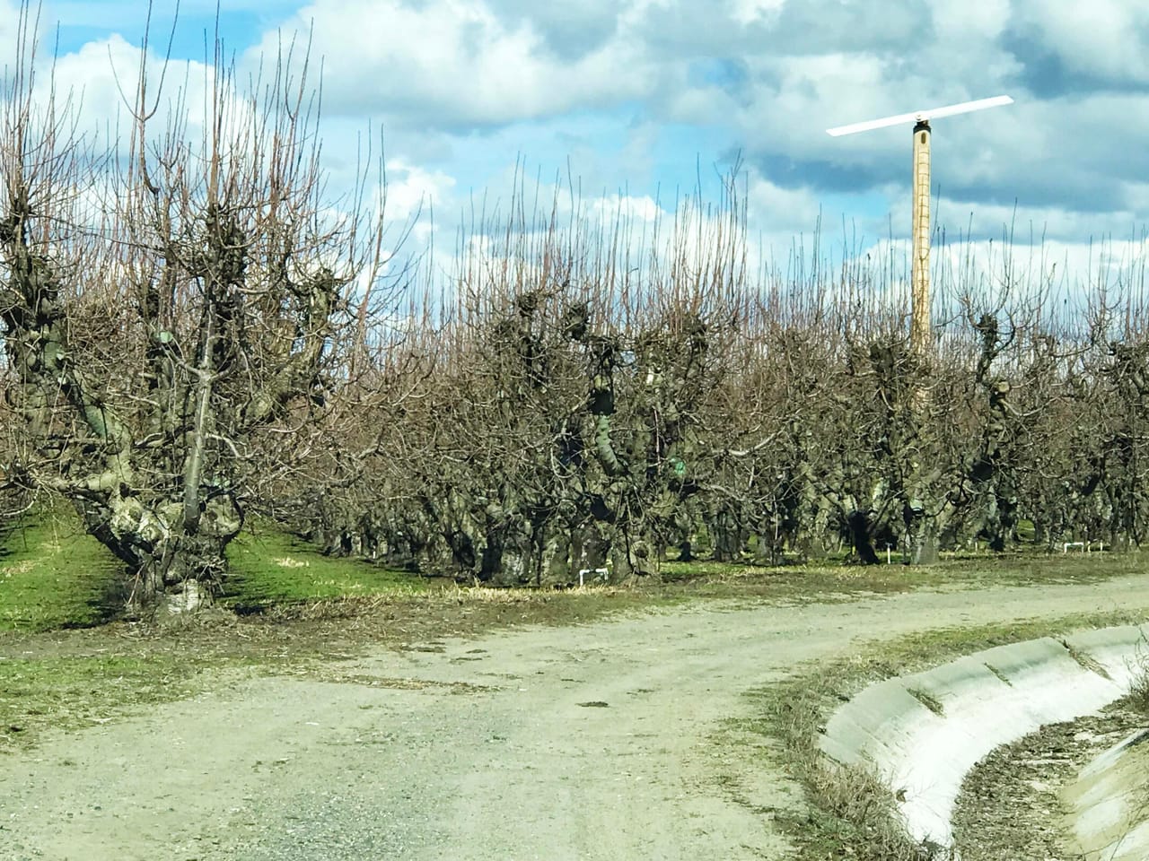 312 +/- Acres Buchanan Farm