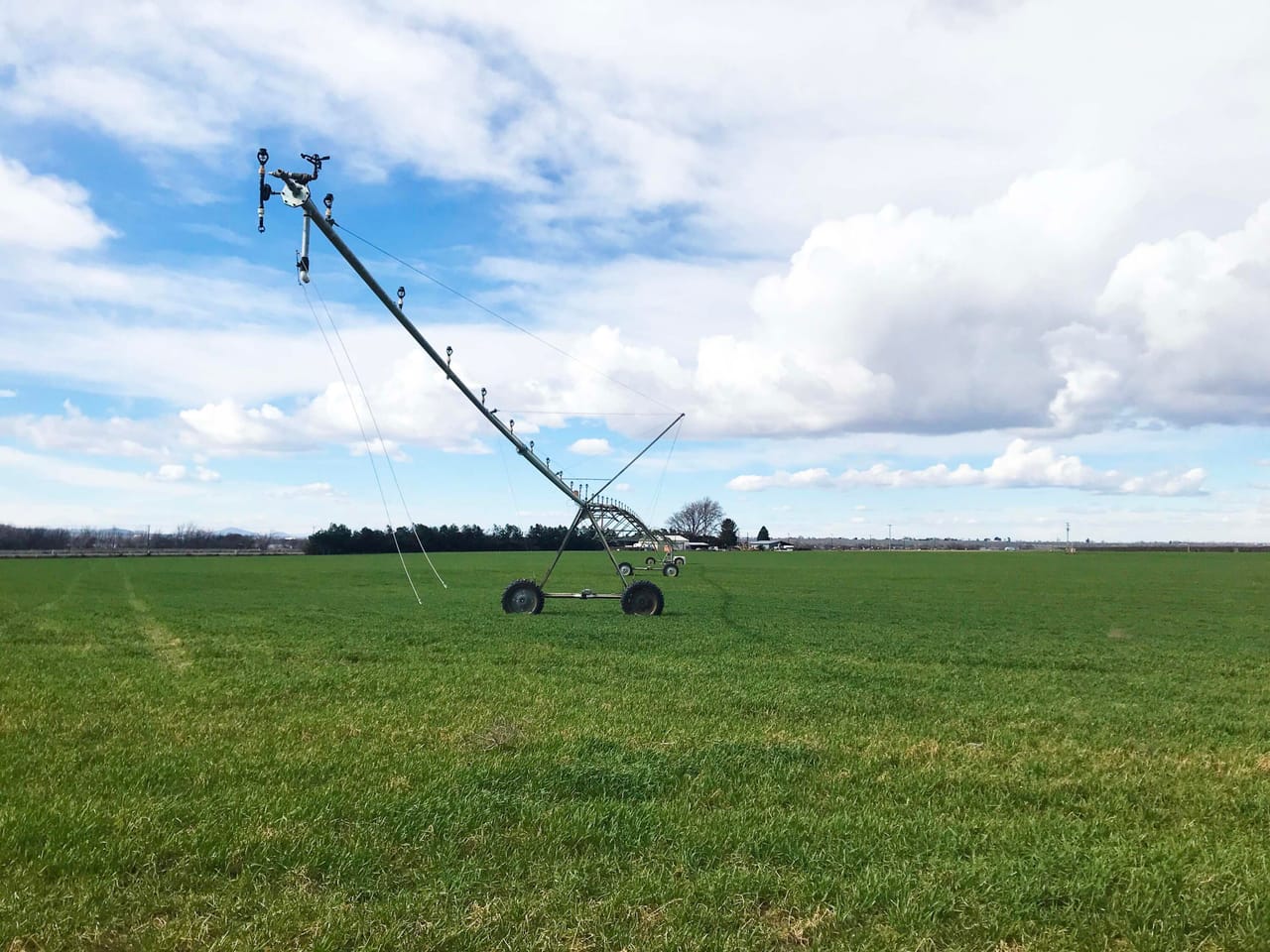 312 +/- Acres Buchanan Farm