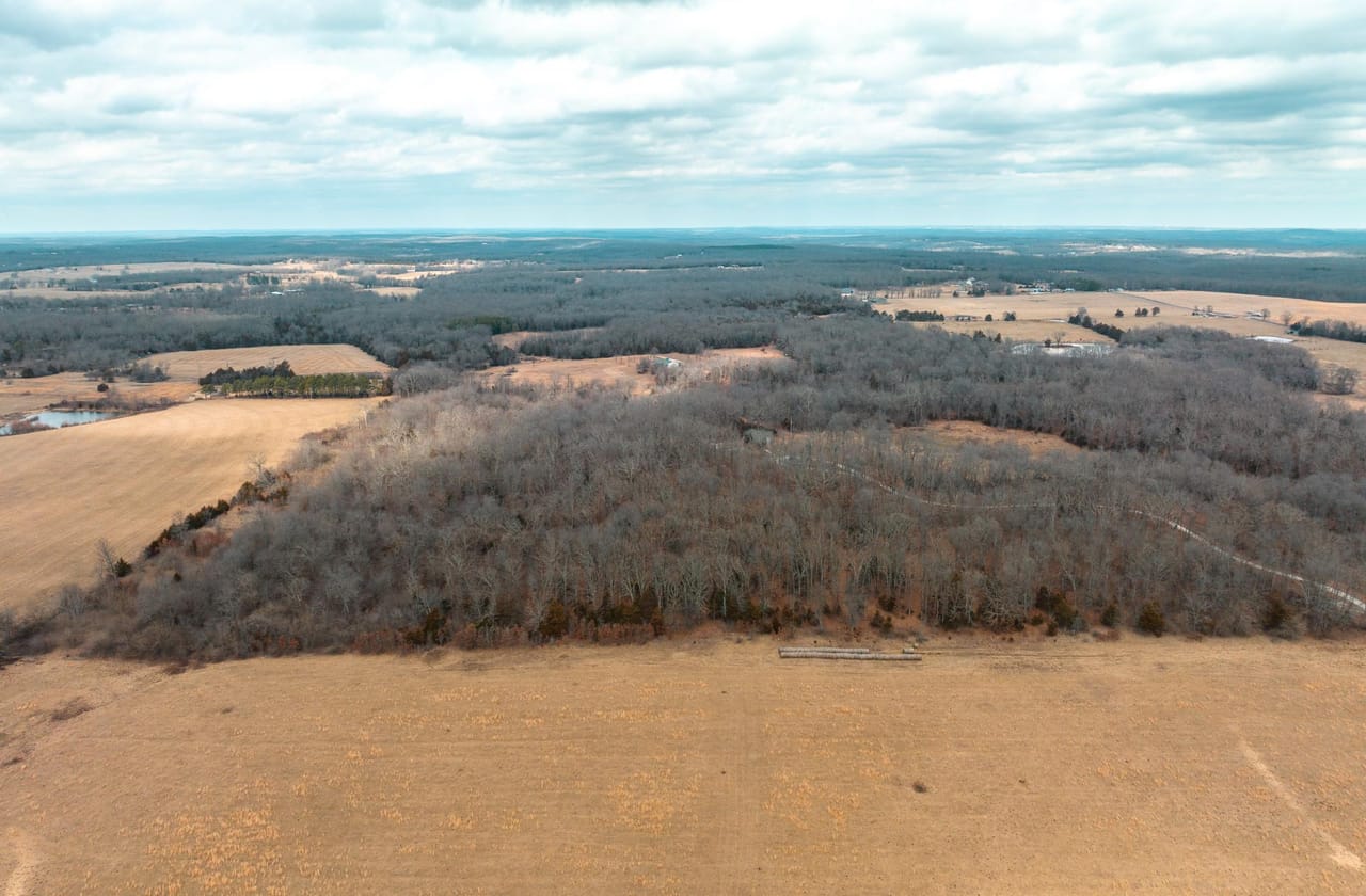 Listing Image 69