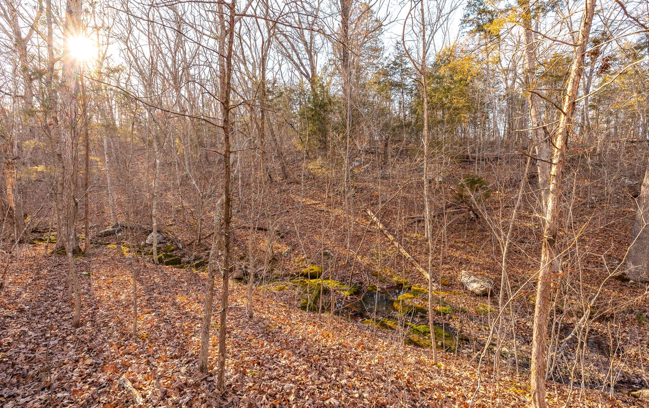 Listing Image 53