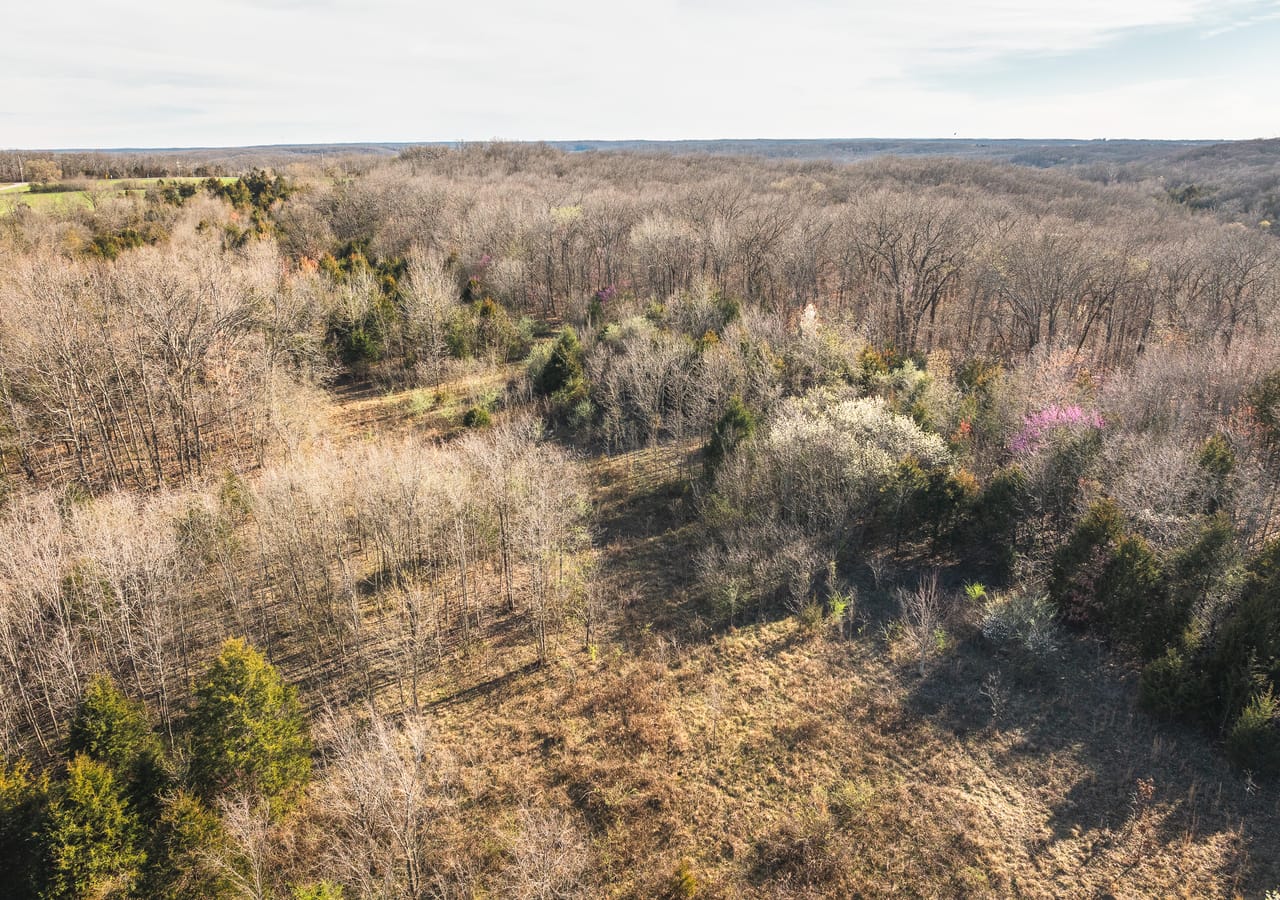 Listing Image 16