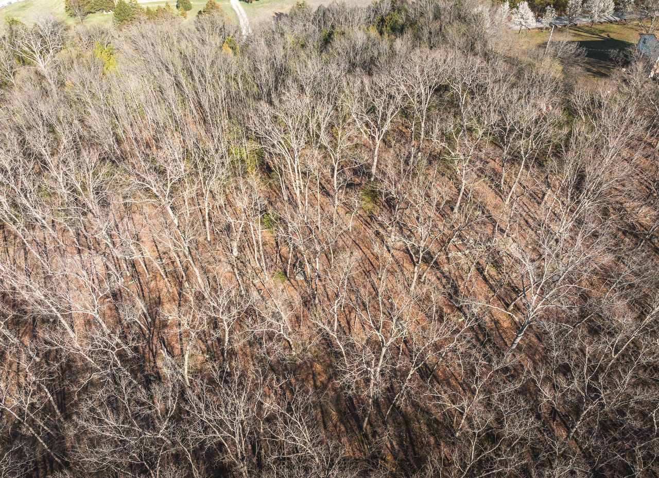 Listing Image 61