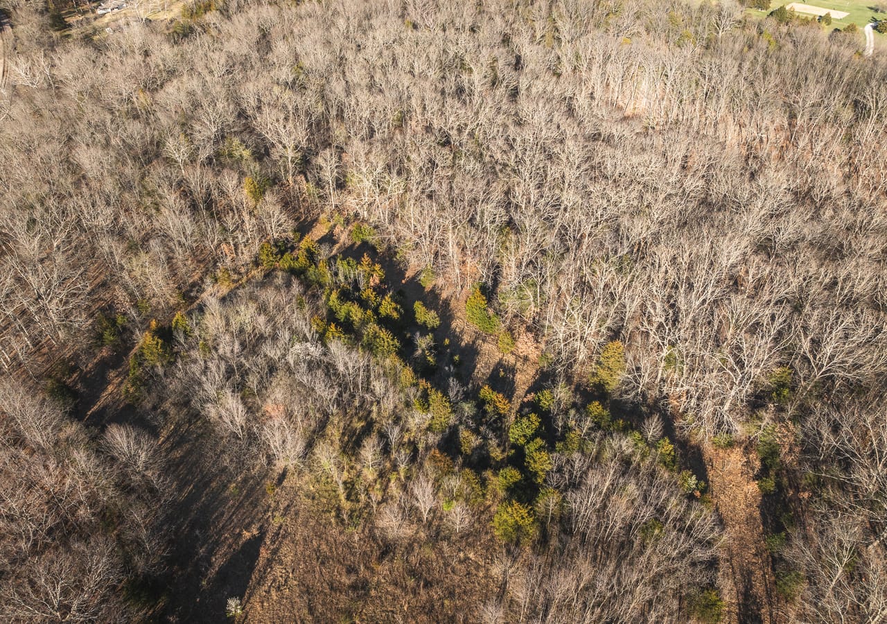 Listing Image 65