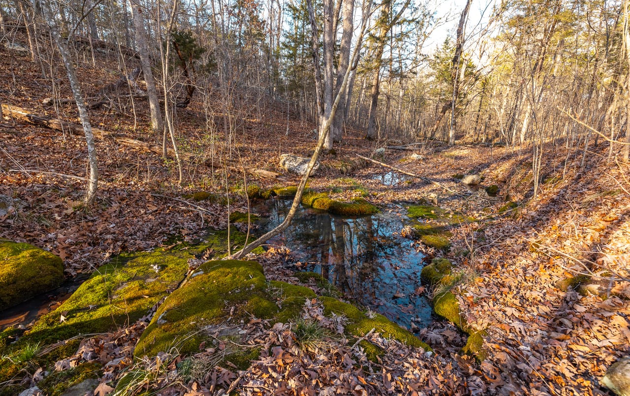 Listing Image 74