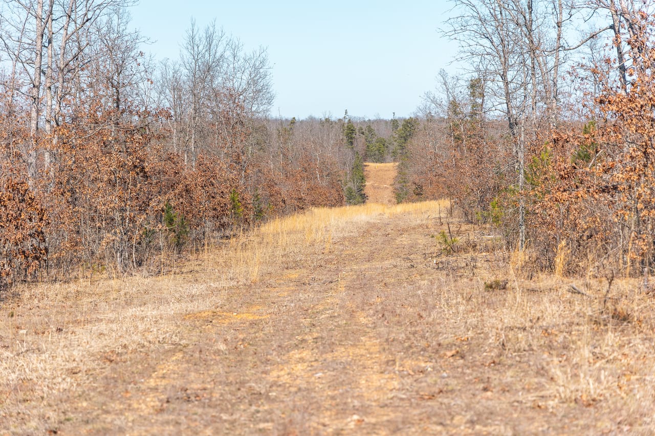 Listing Image 20