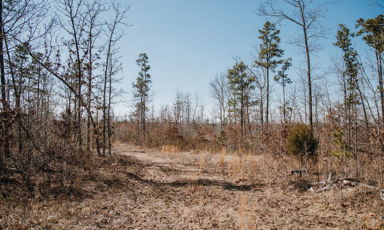 Listing Image 20