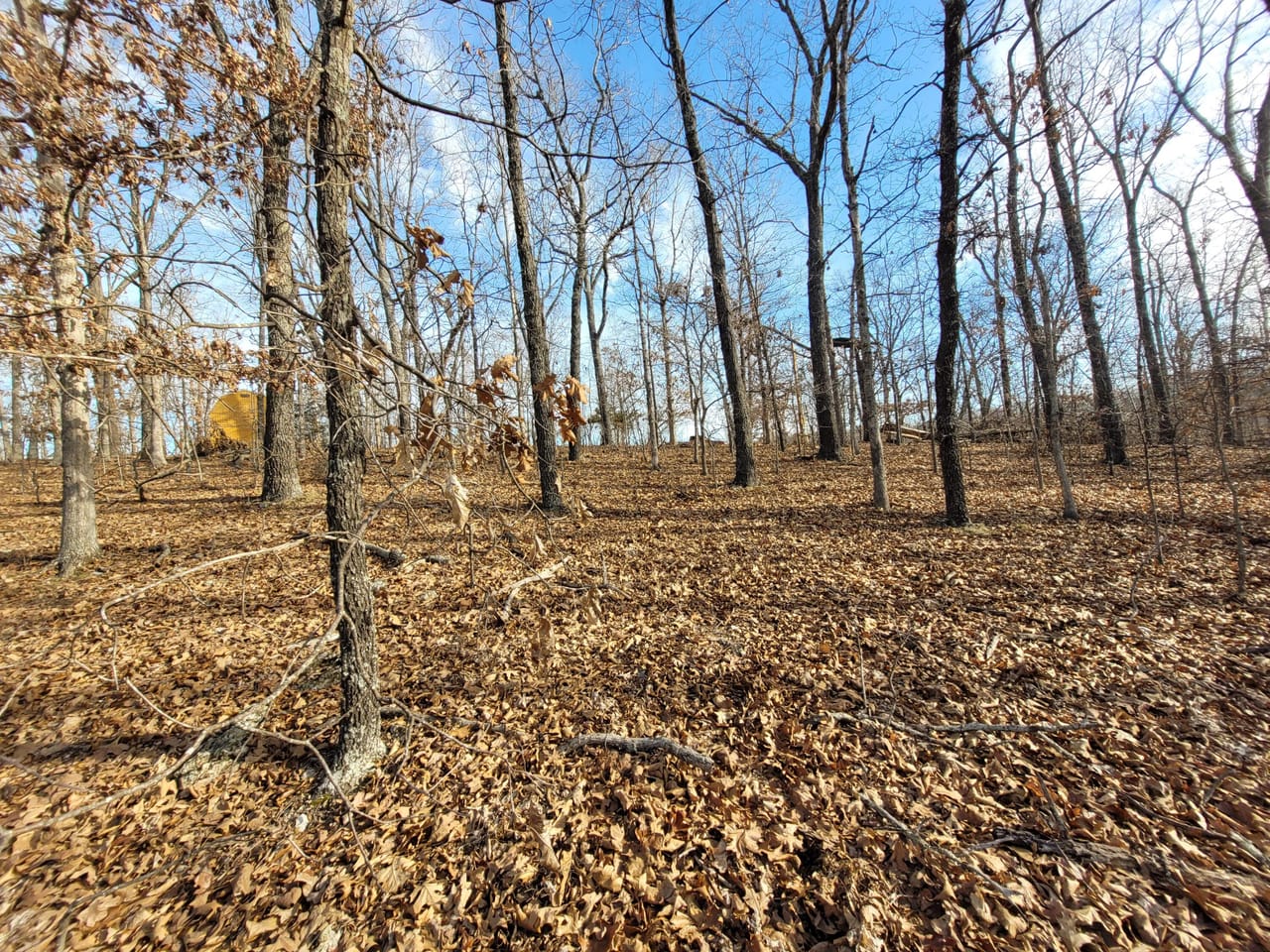 Listing Image 6