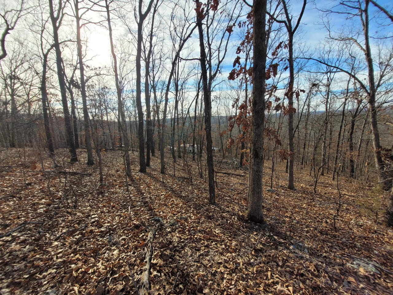 Listing Image 8