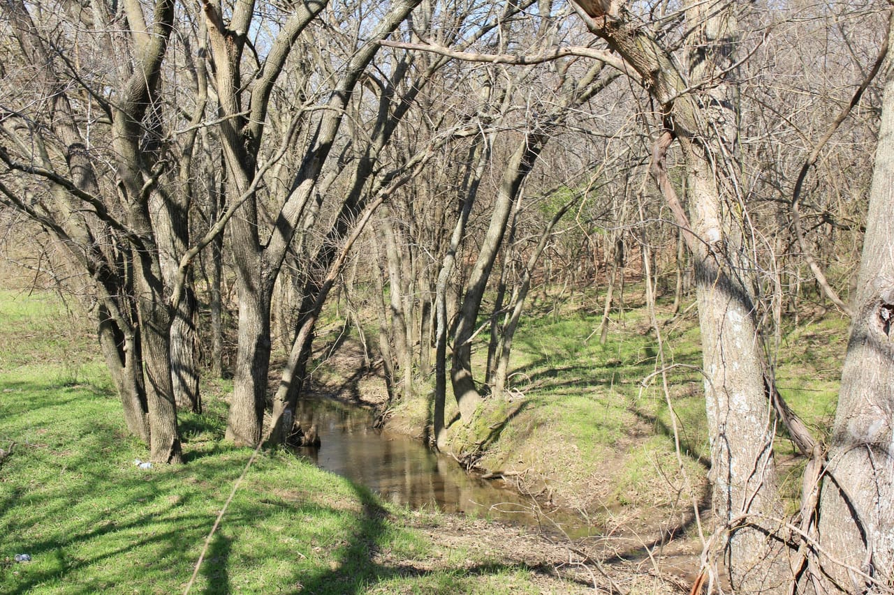 Listing Image 45