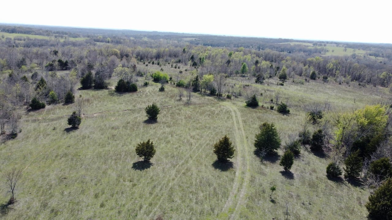 Listing Image 51