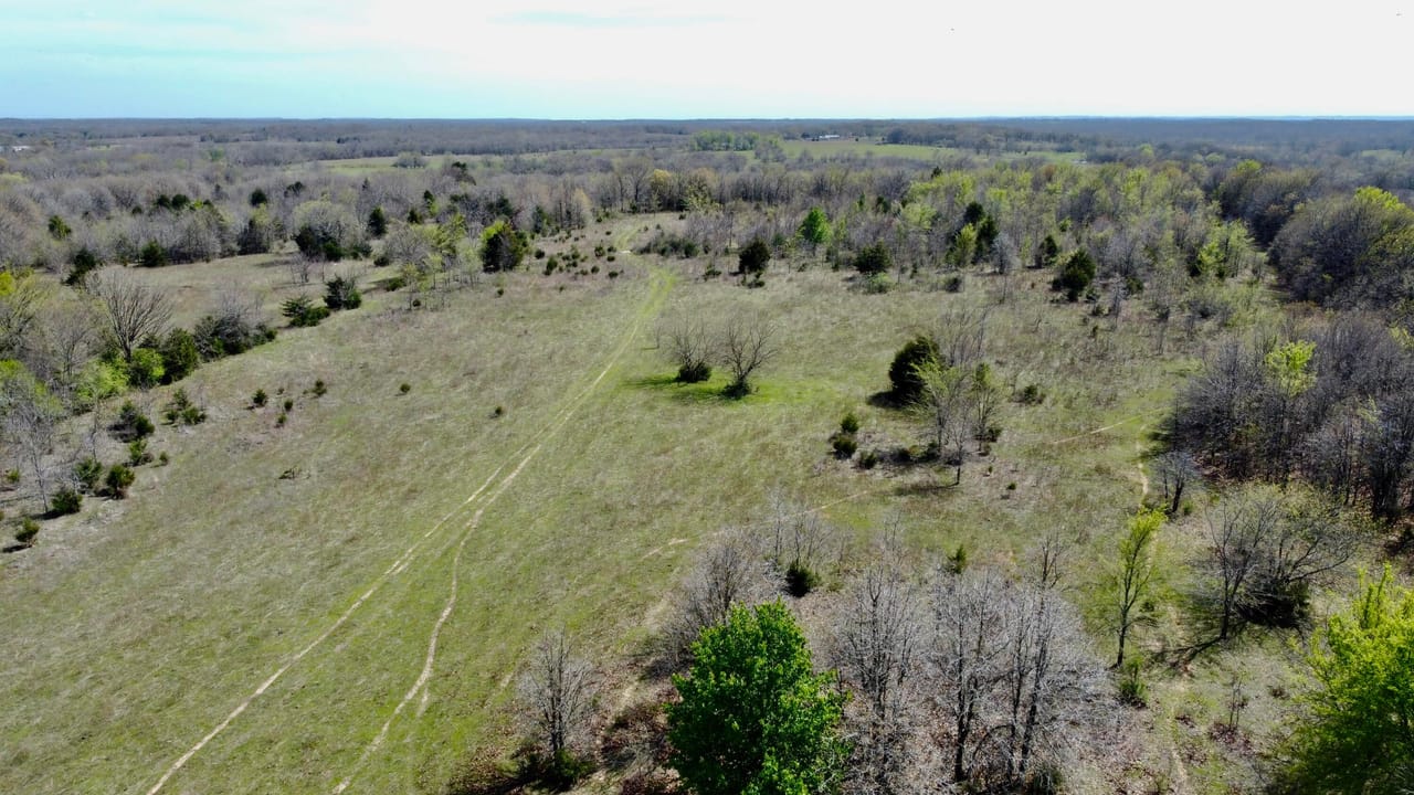 Listing Image 52