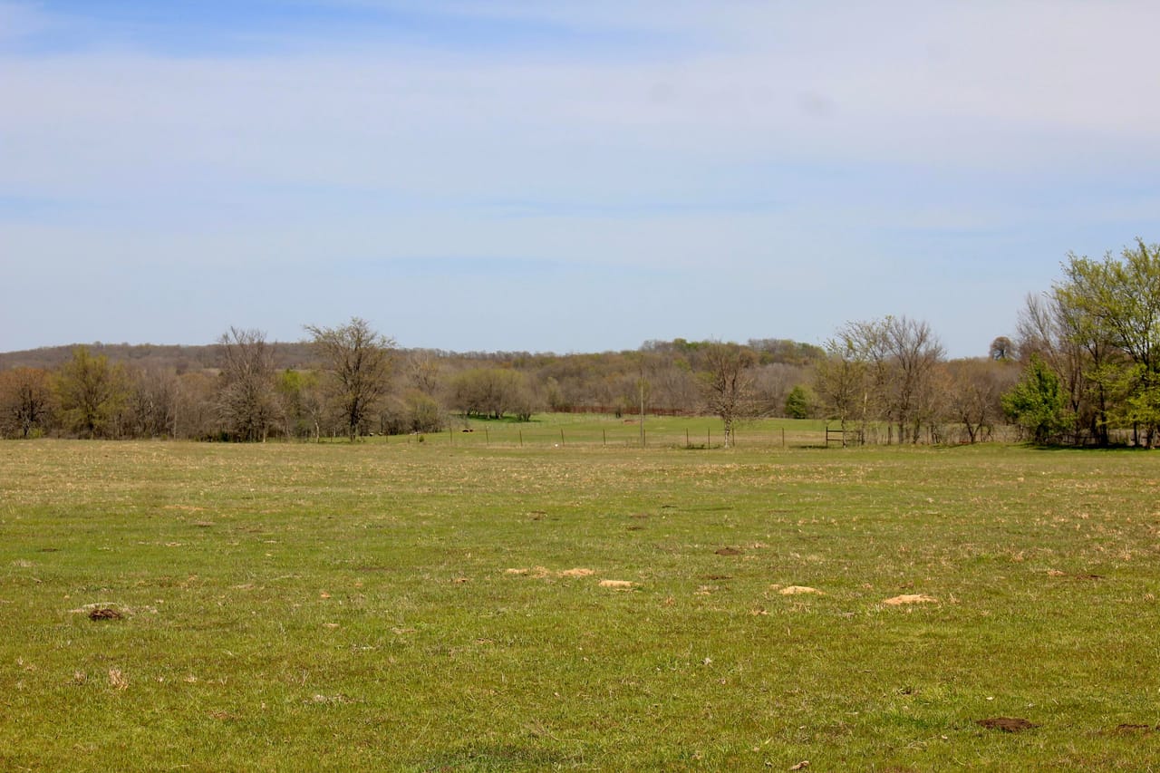 Listing Image 58