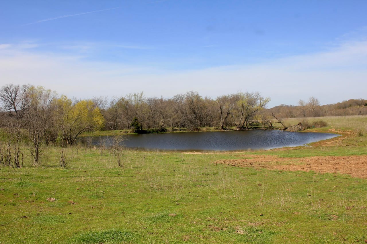 Listing Image 66