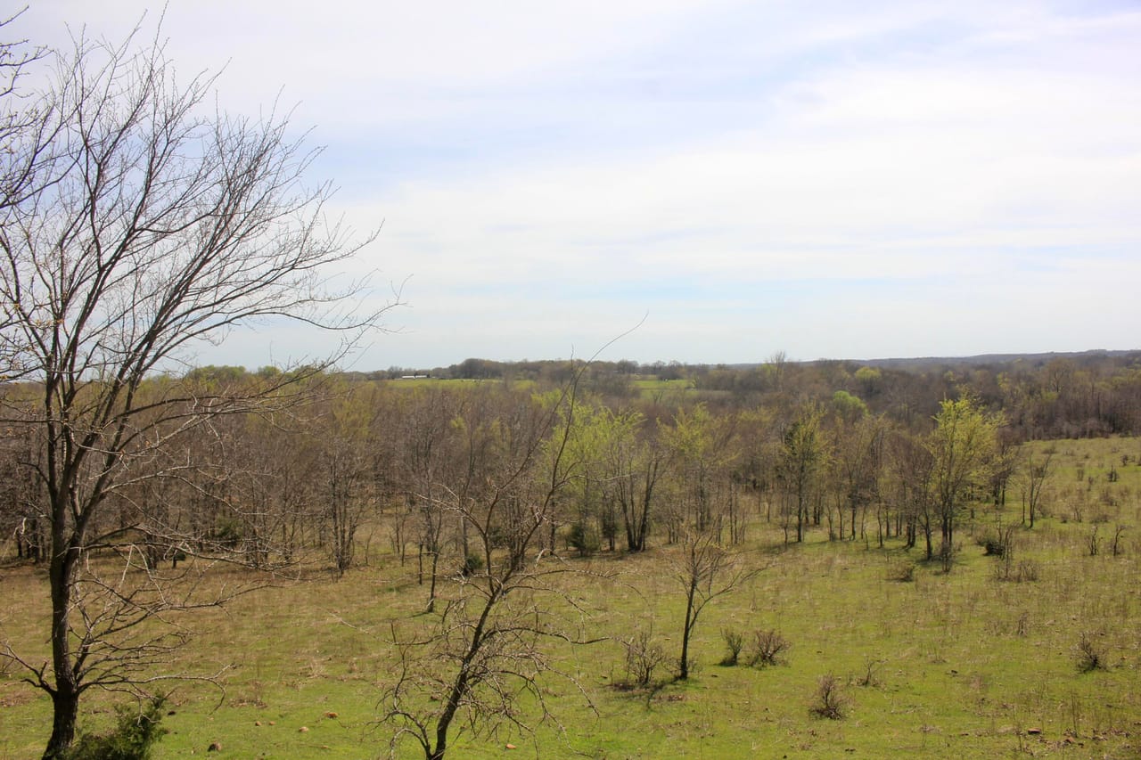 Listing Image 21