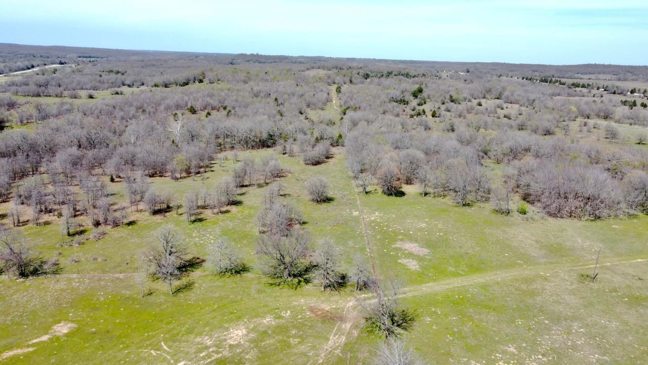 Listing Image 74