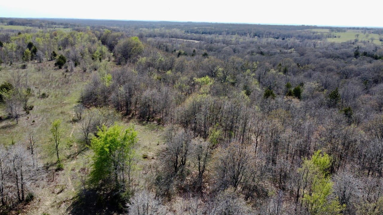 Listing Image 76