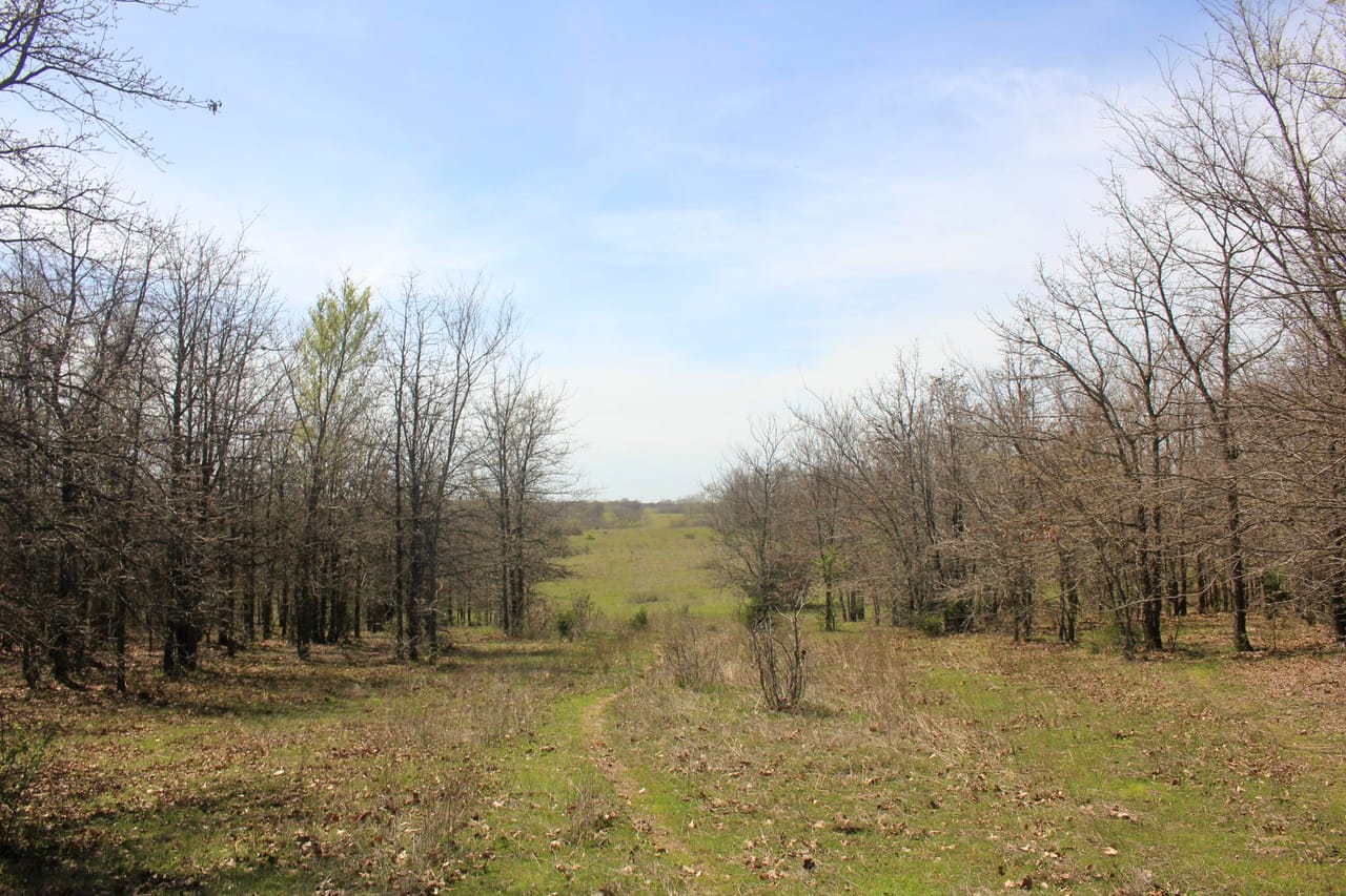Listing Image 78