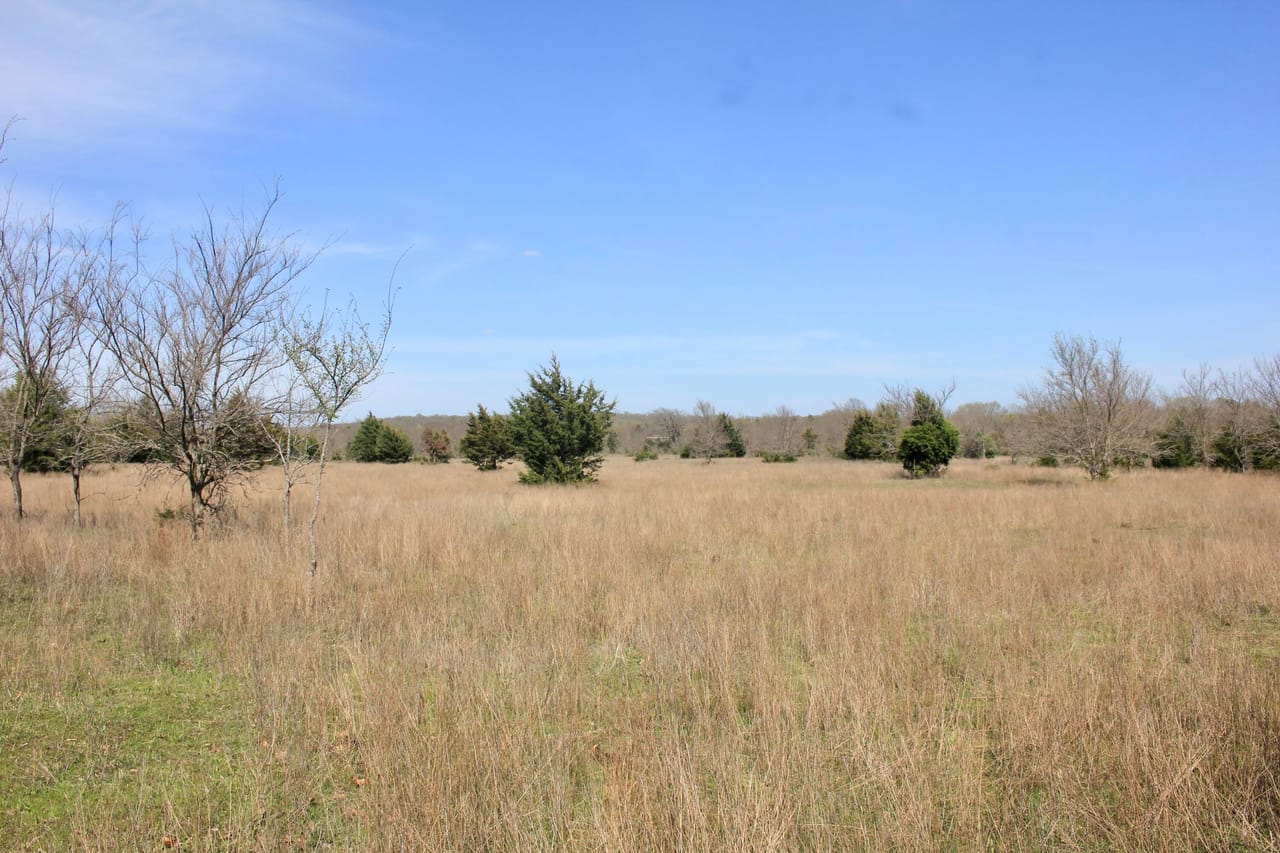 Listing Image 81