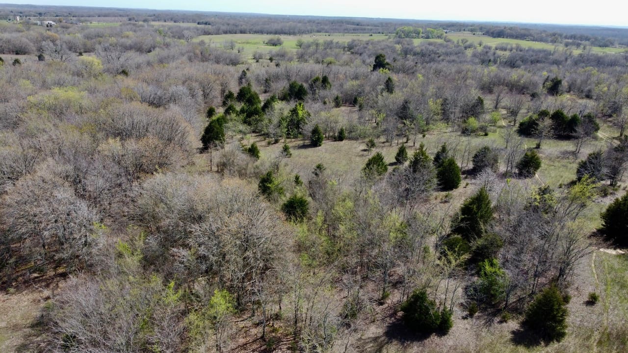 Listing Image 83