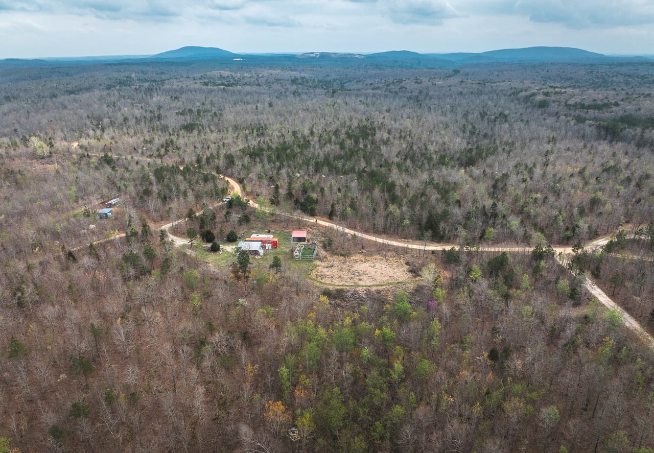 Listing Image 4