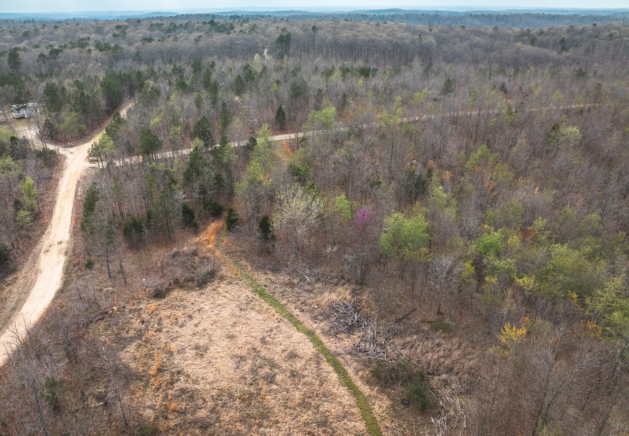 Listing Image 19