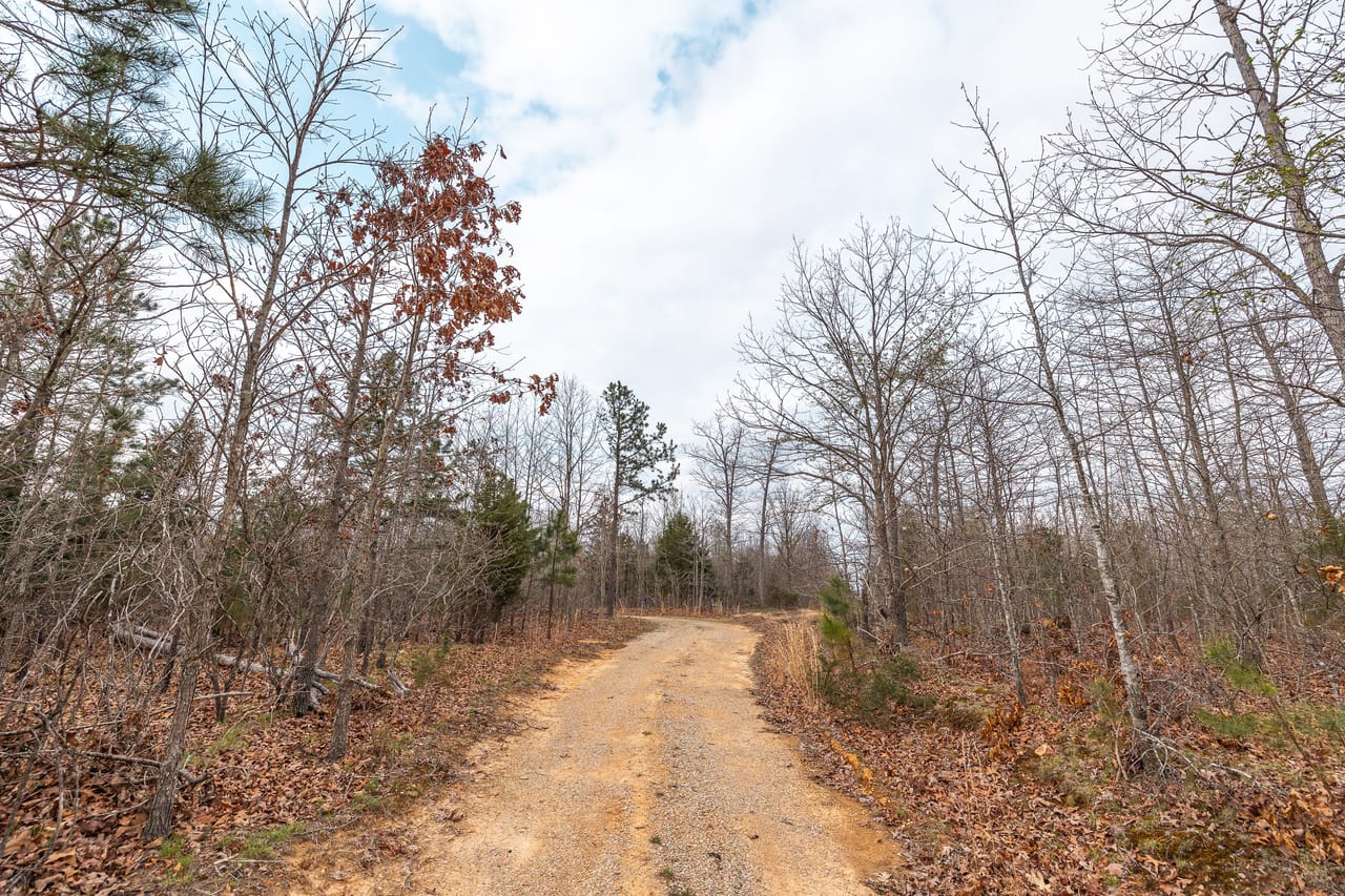 Listing Image 21