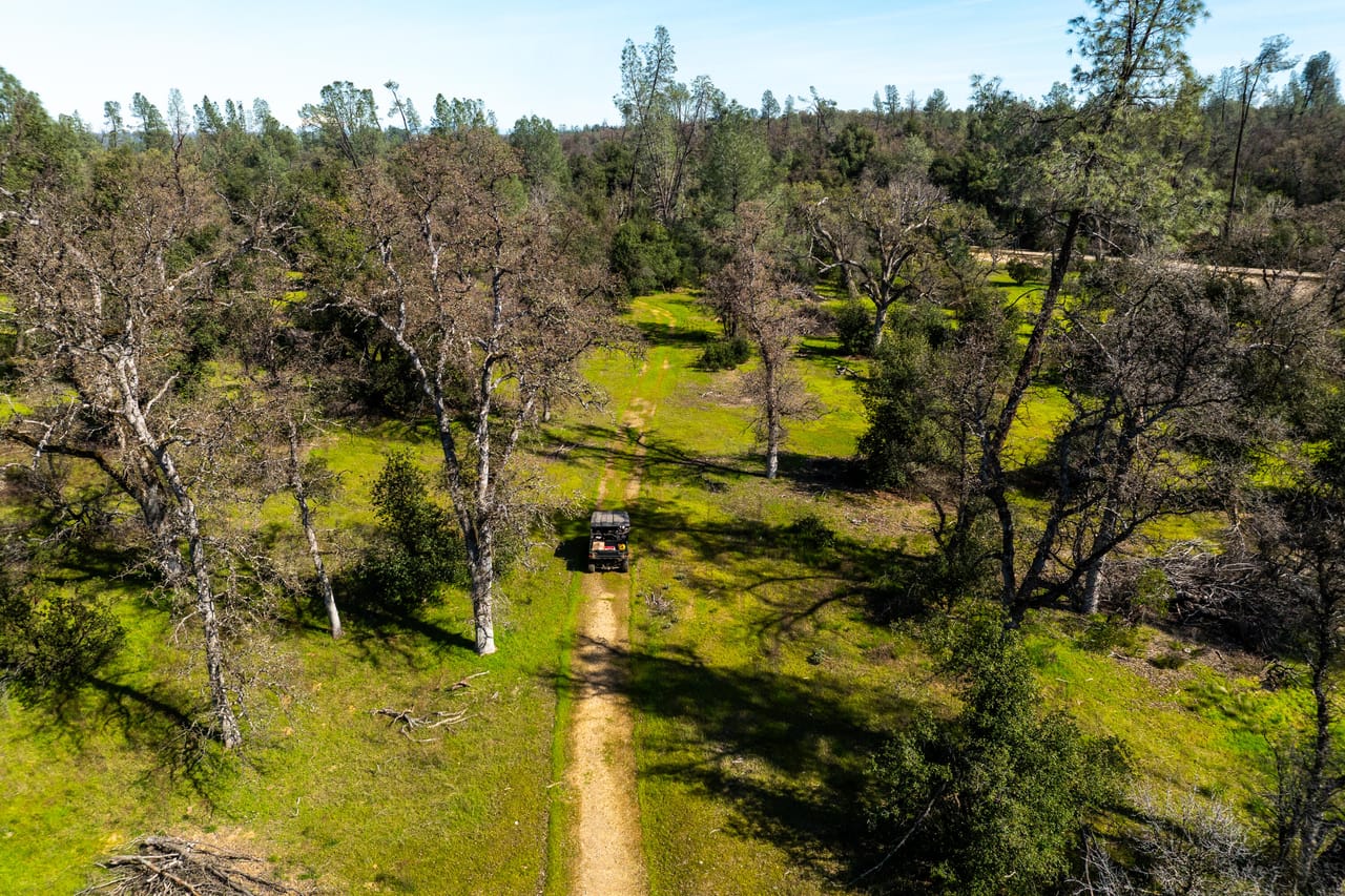 Listing Image 75