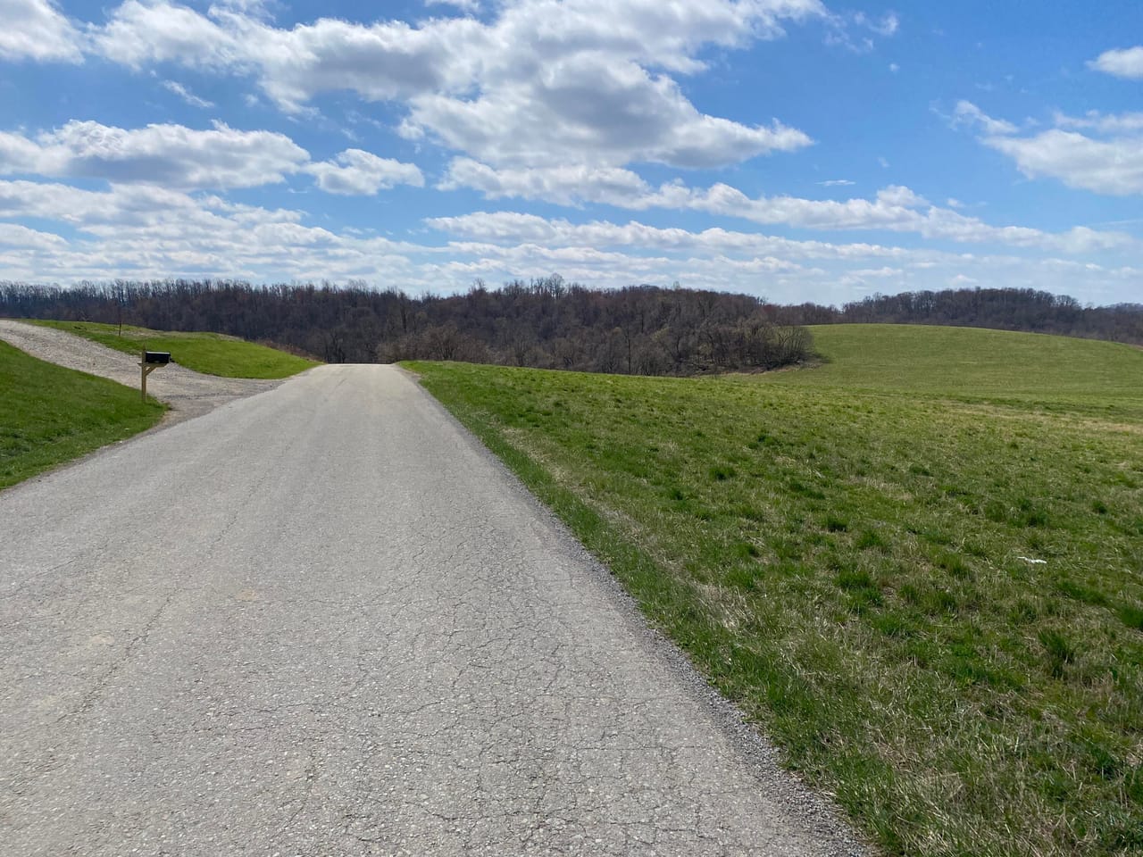 Listing Image 18