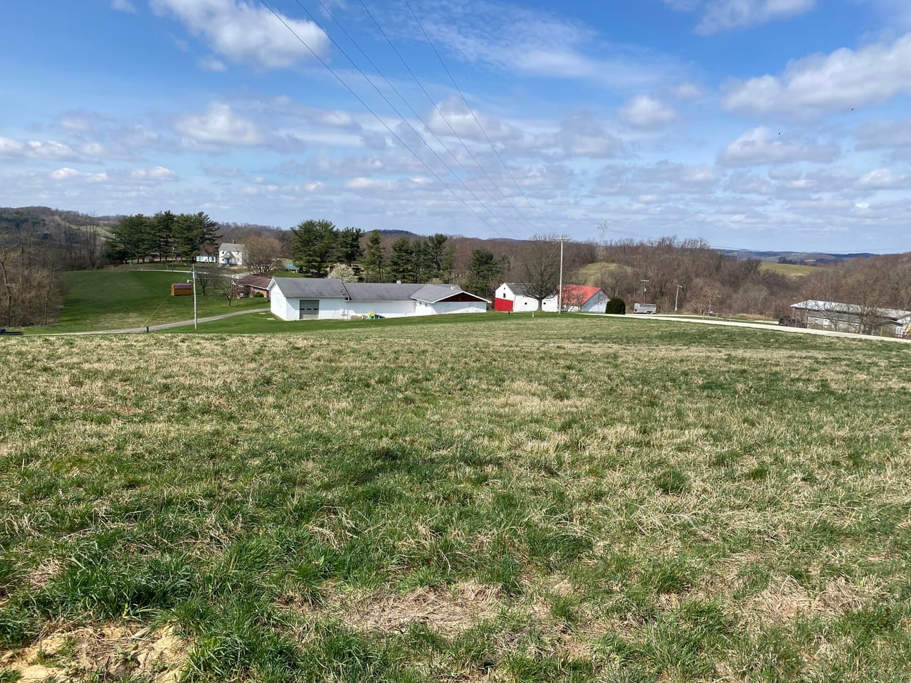 Listing Image 20
