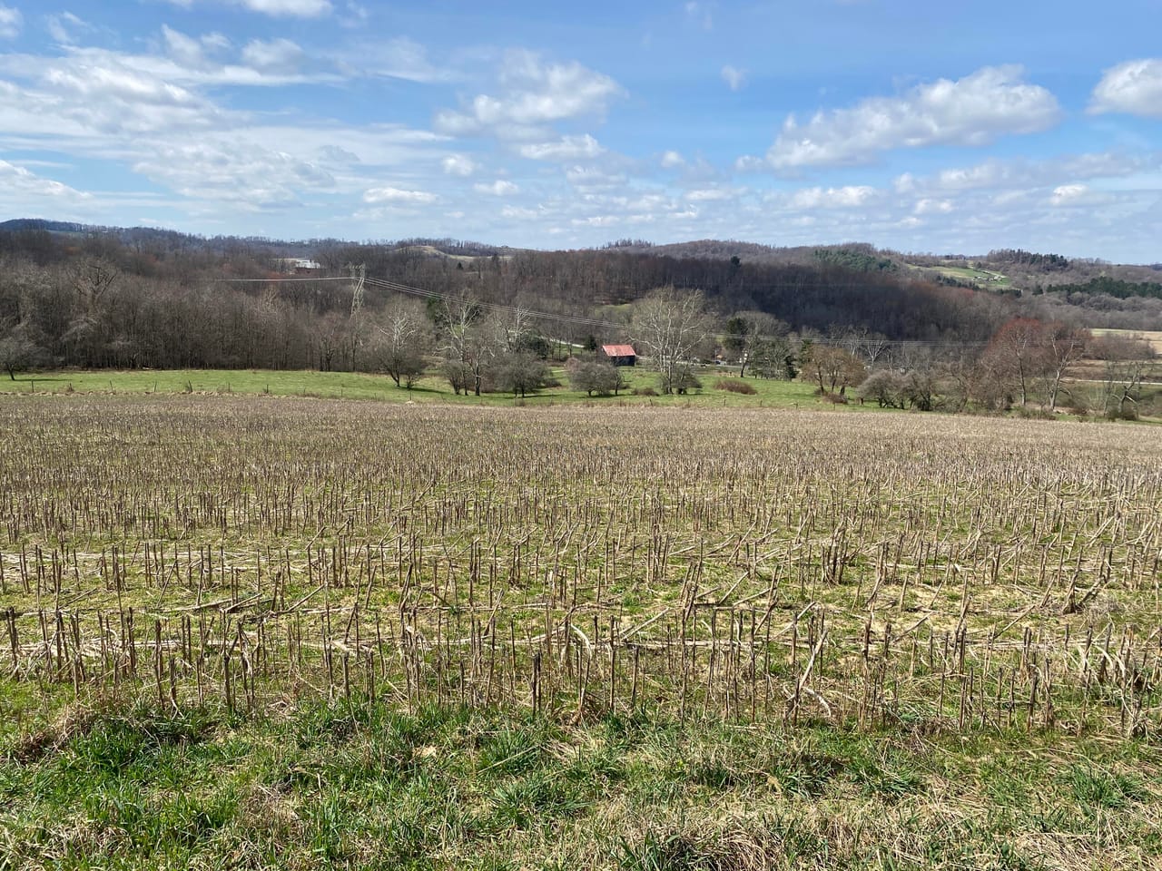 Listing Image 43
