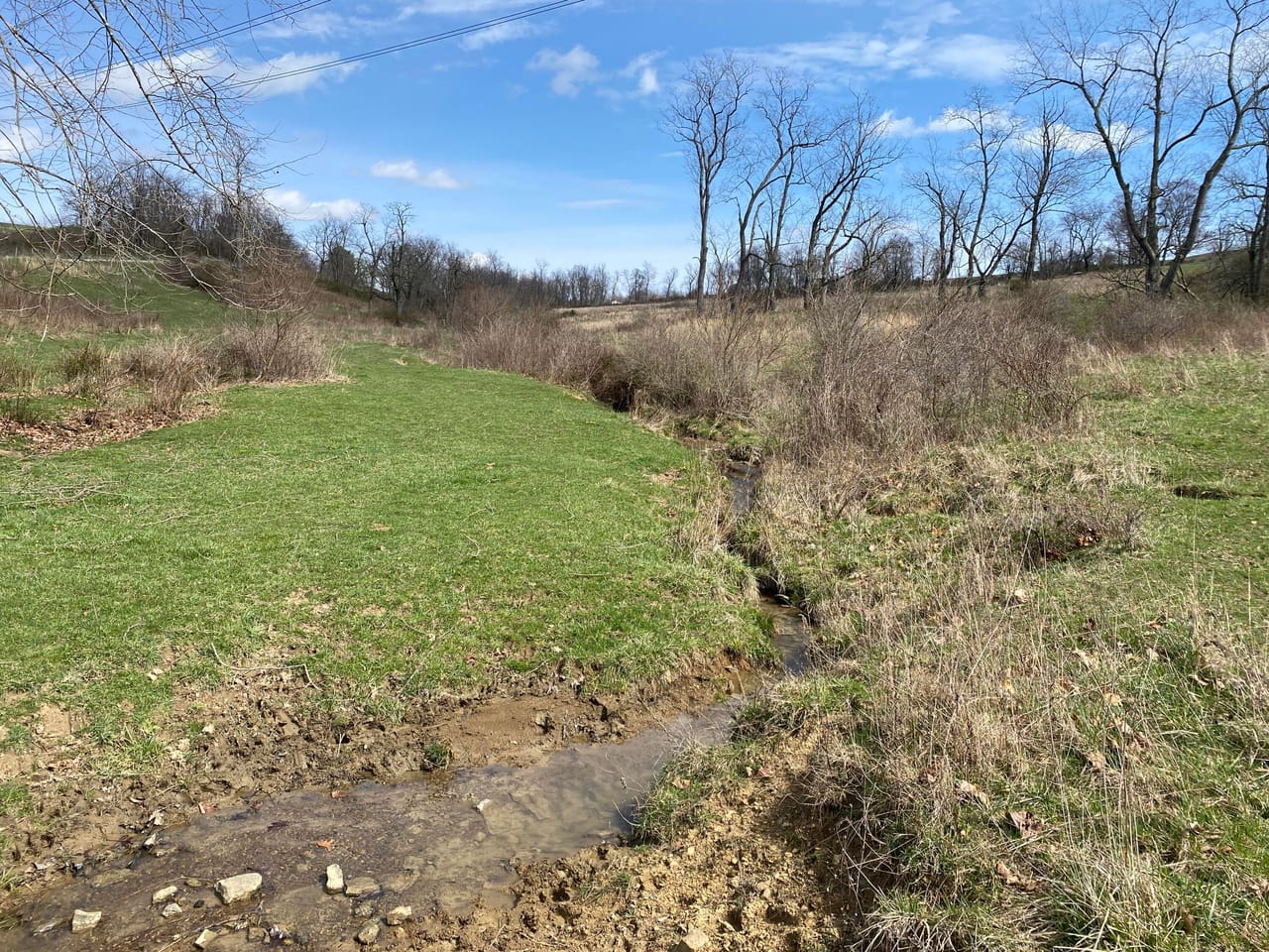 Listing Image 62