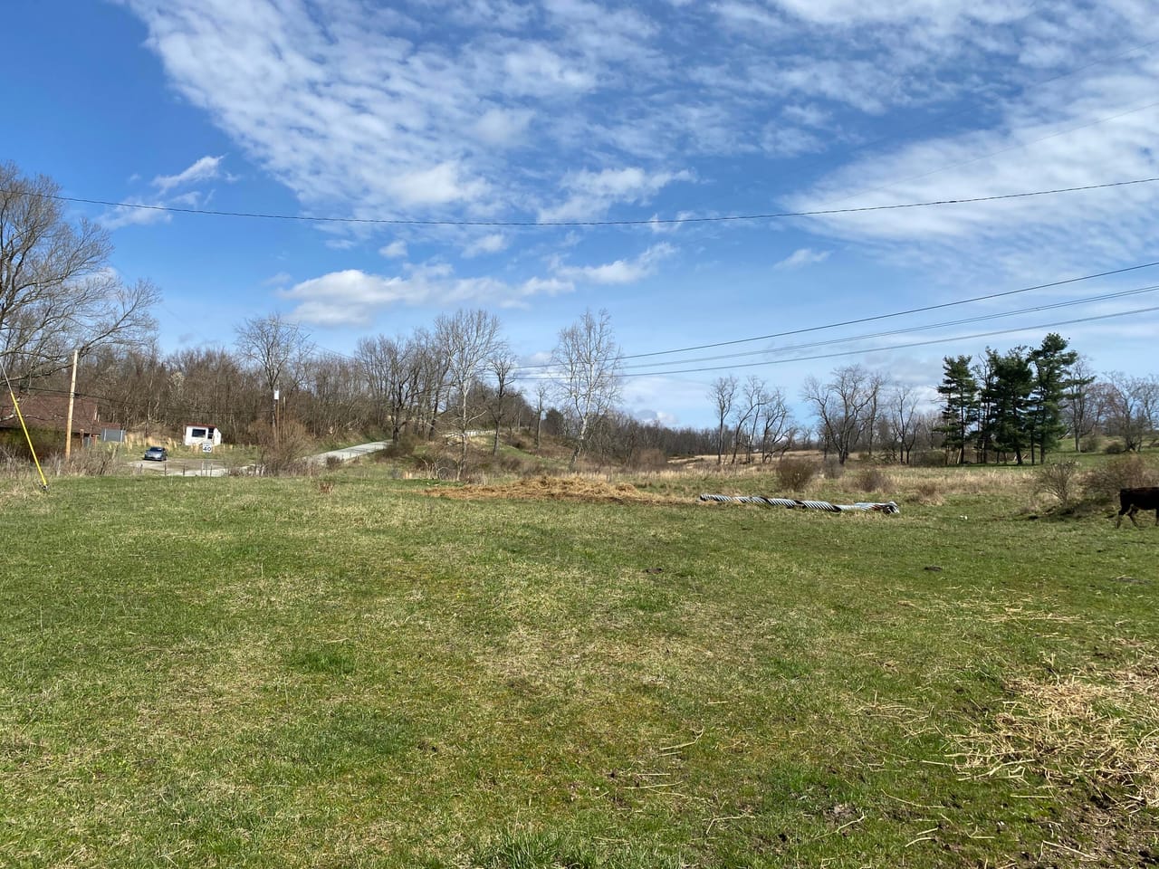 Listing Image 64