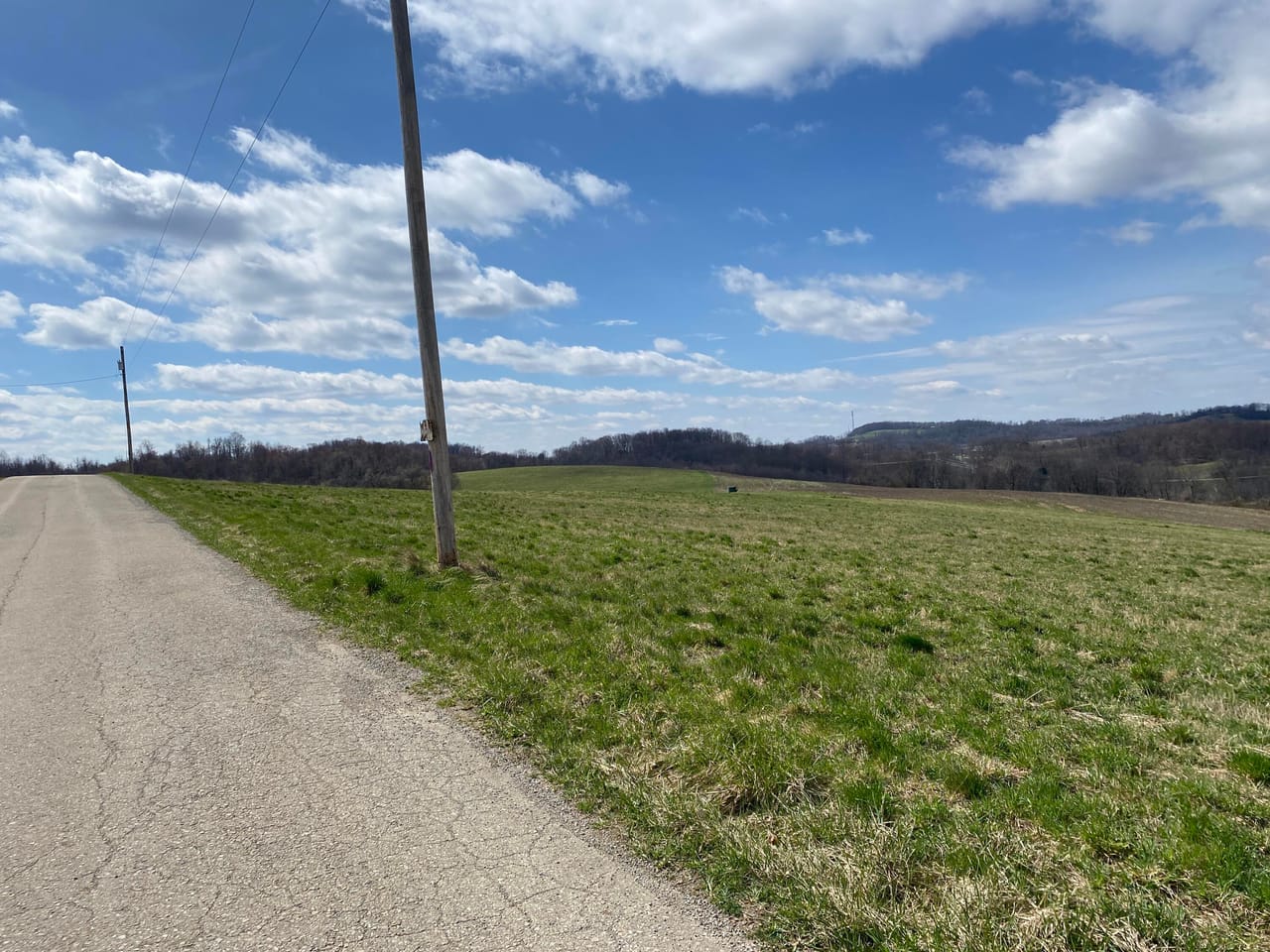 Listing Image 75