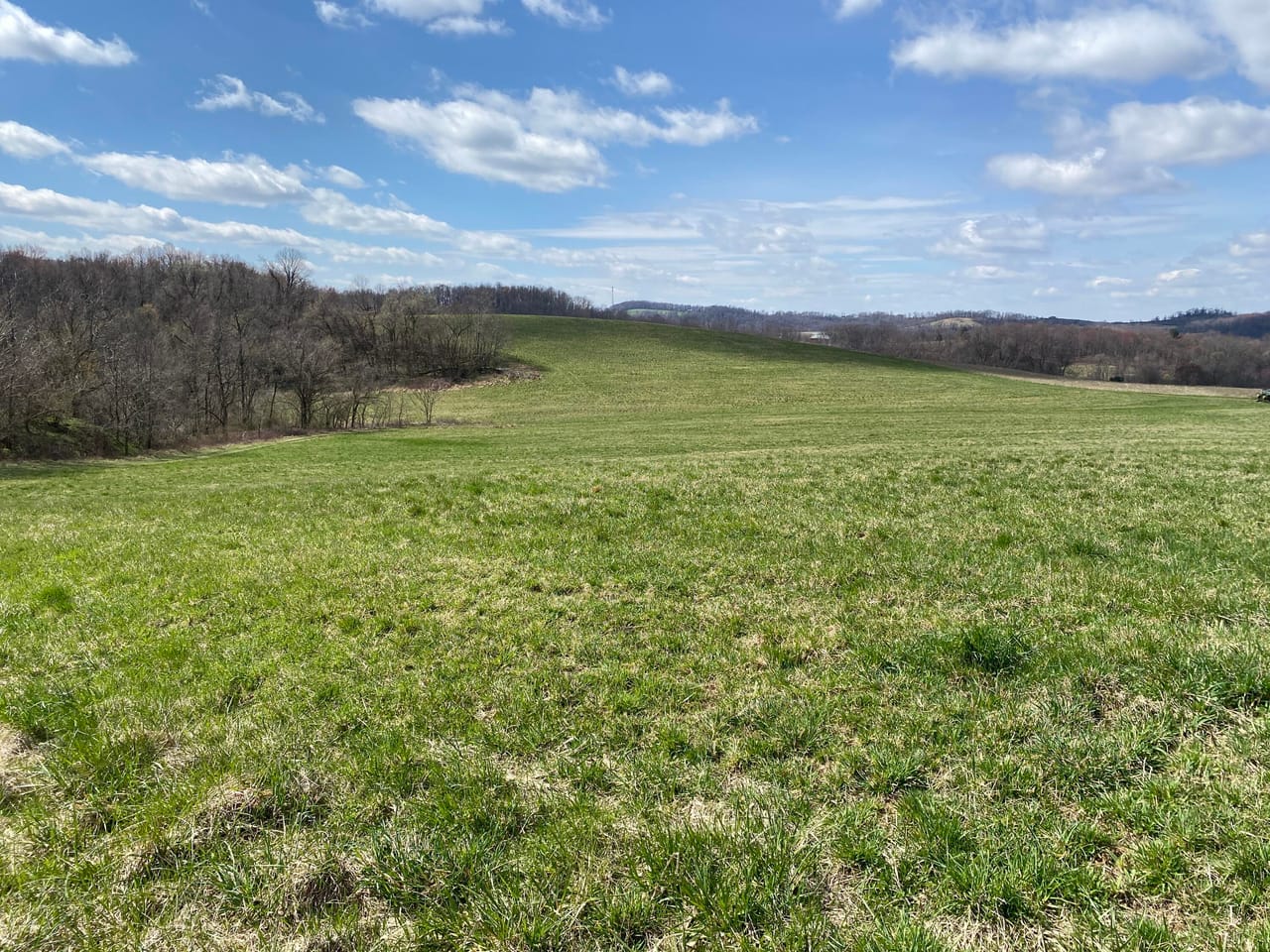 Listing Image 79