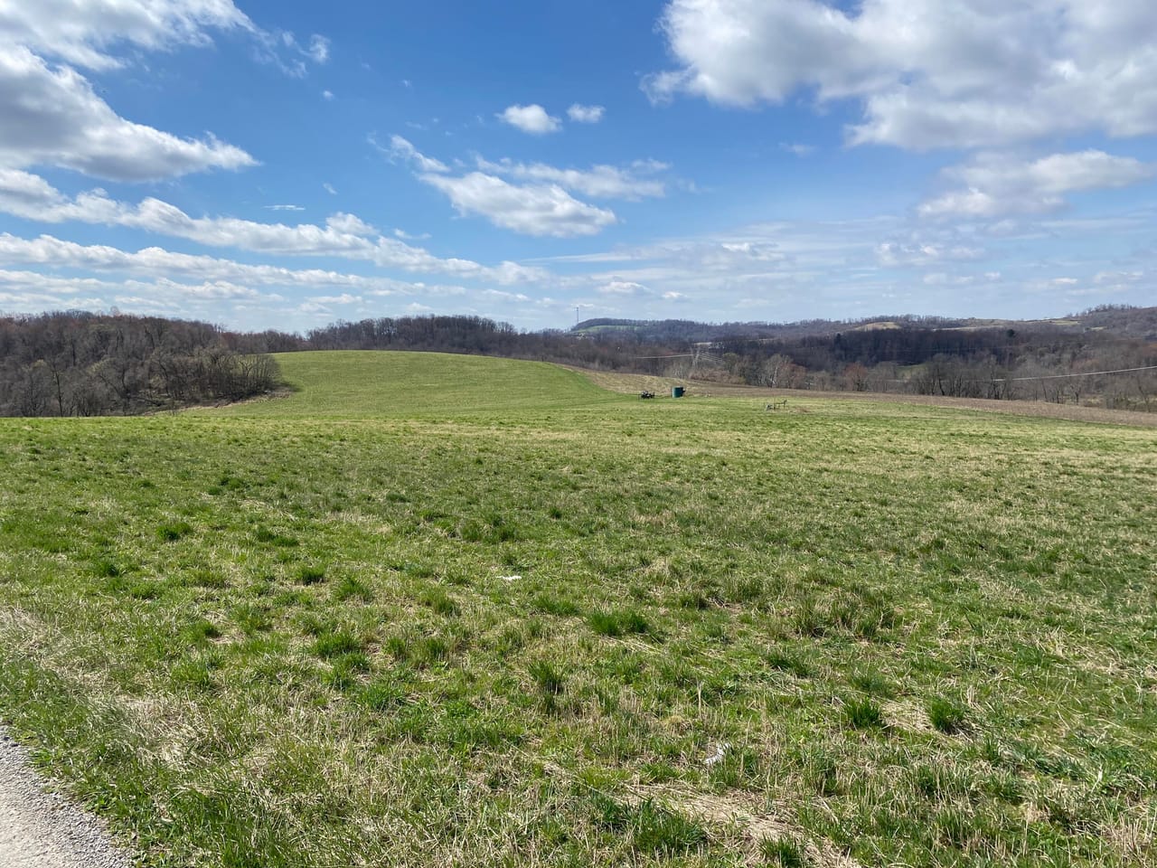 Listing Image 81