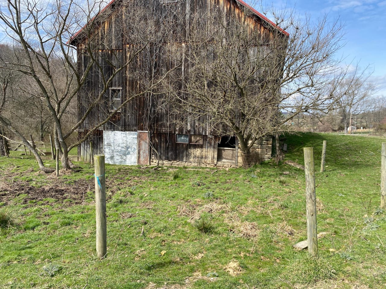 Listing Image 8