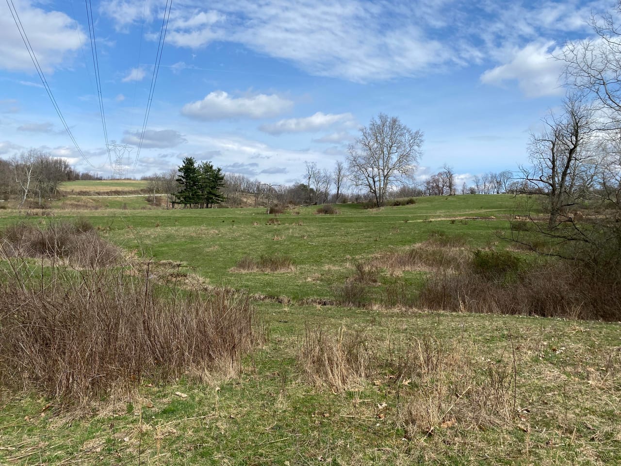 Listing Image 31