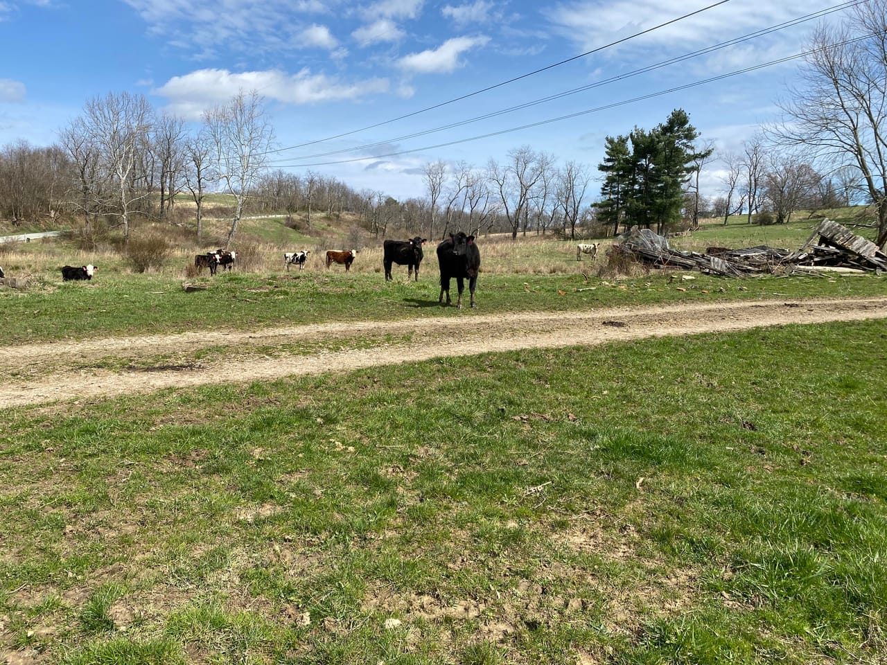 Listing Image 33