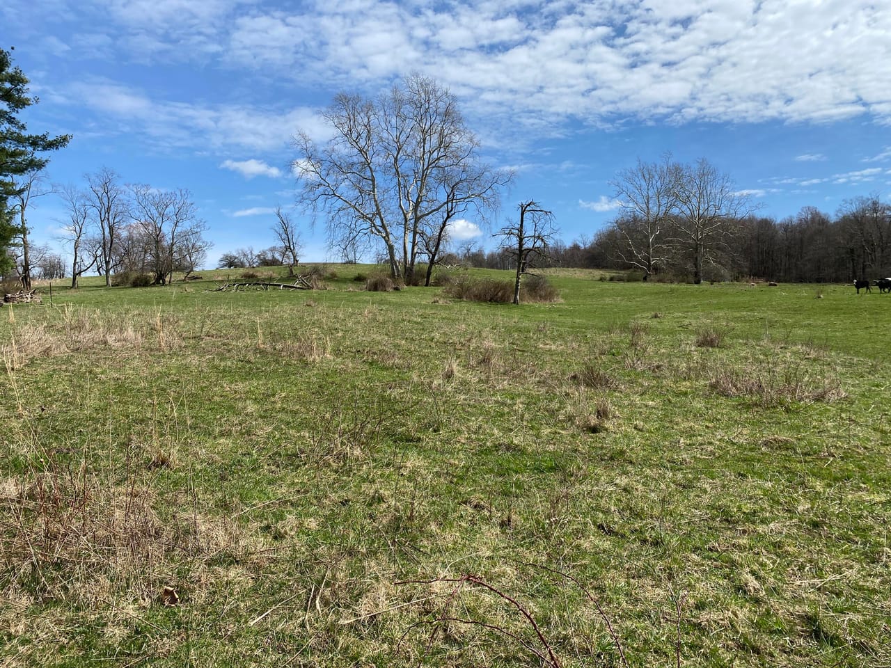 Listing Image 34