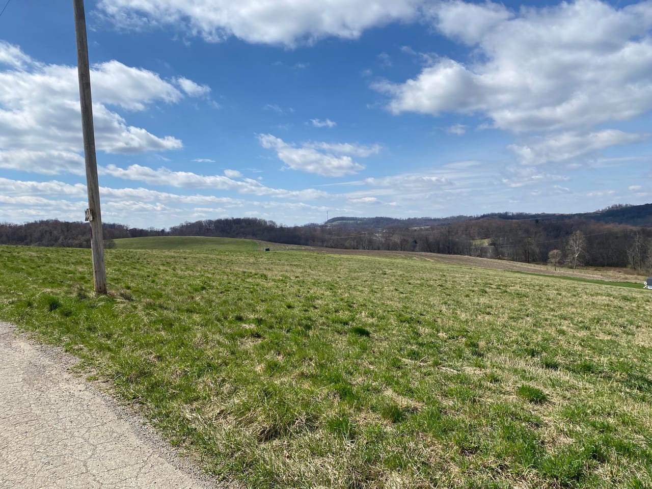Listing Image 46