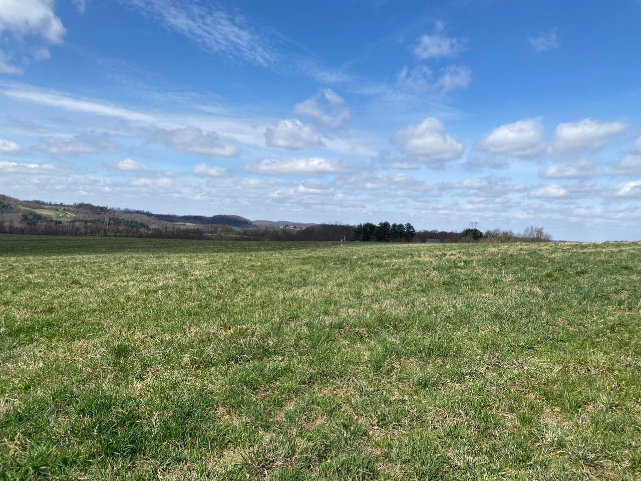 Listing Image 49
