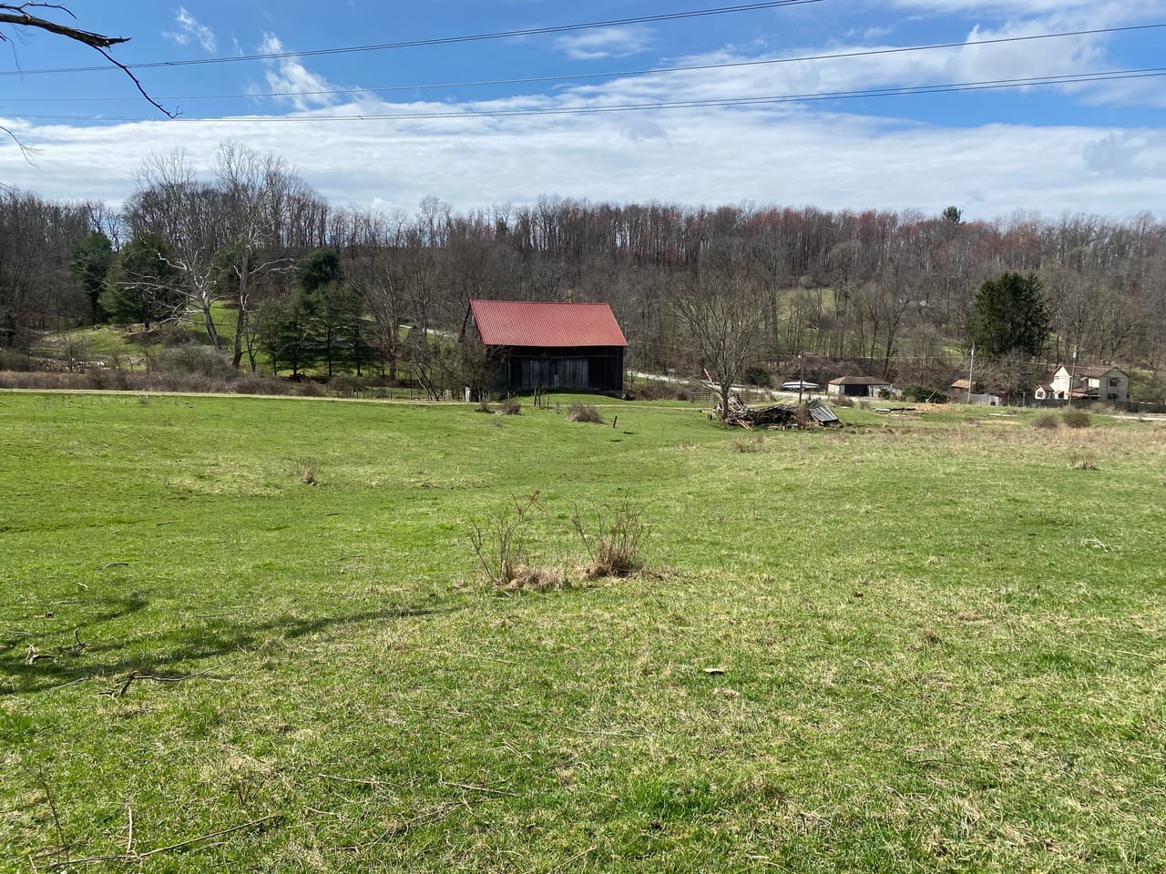 Listing Image 65