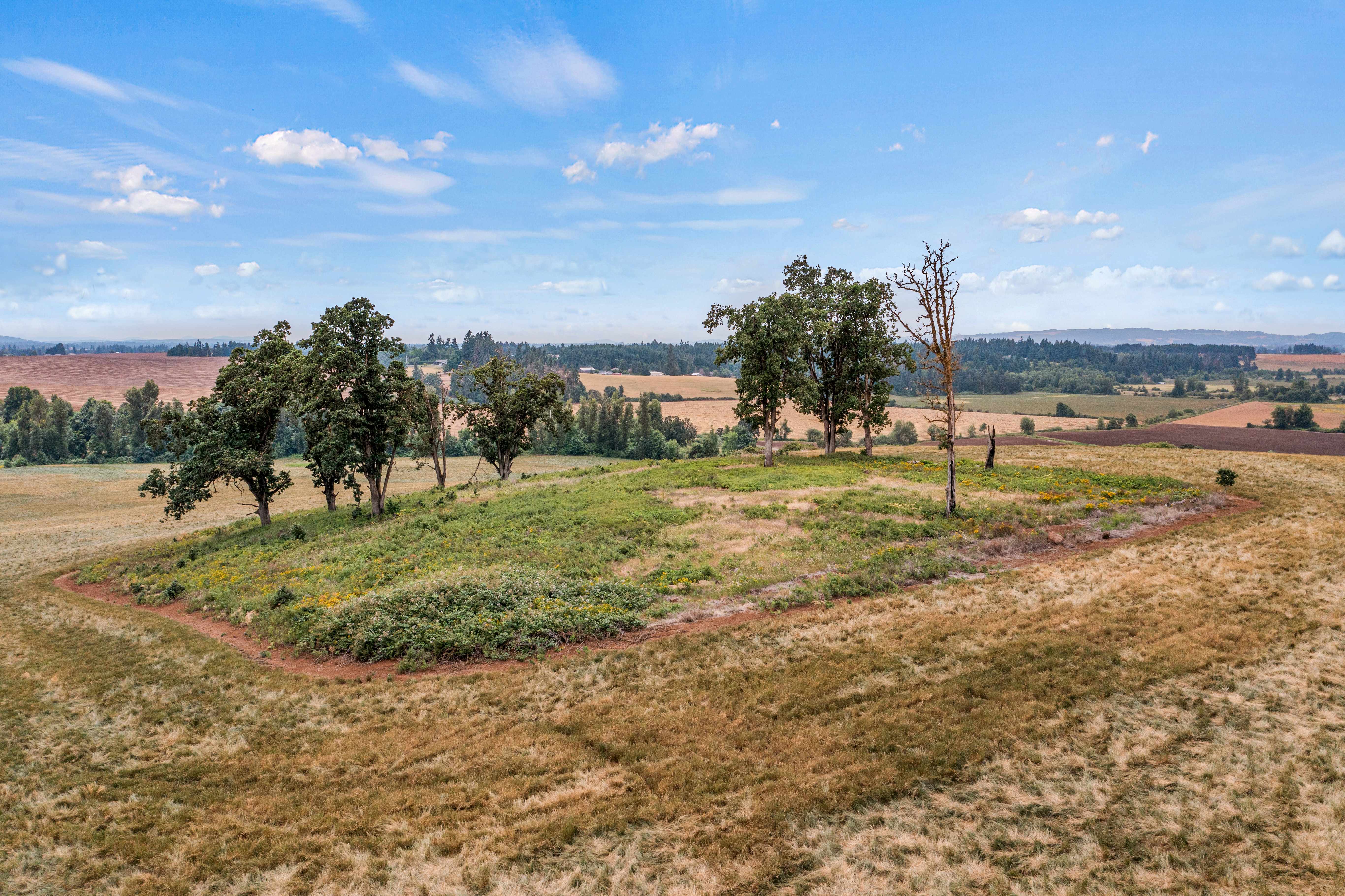 Sublimity 152 — Productive Willamette Valley Farm for Sale with Creek Frontage and Homesite Potential