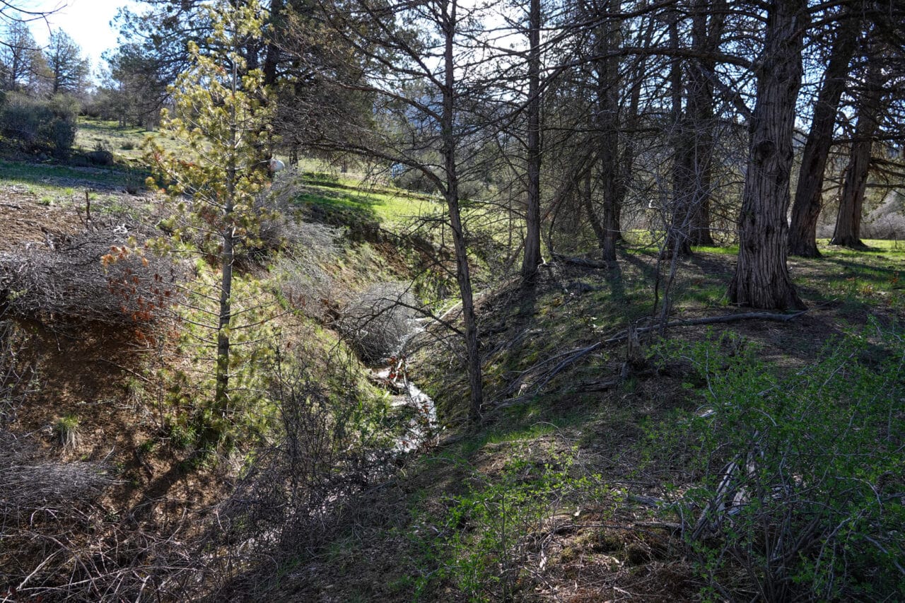 Blacktail Hills Retreat