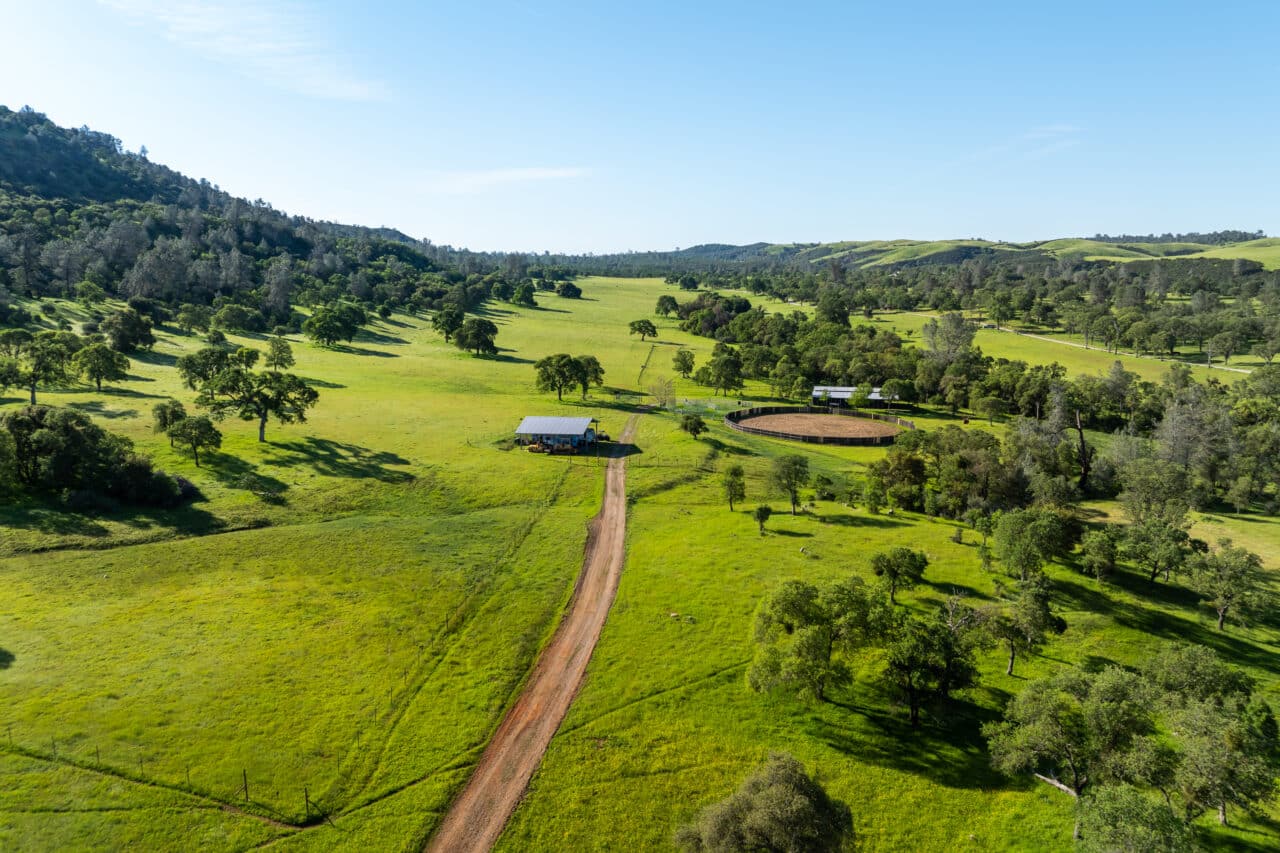 The Gann Ranch