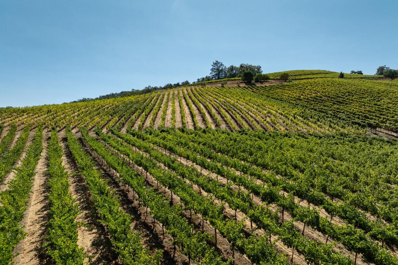 Listing Image 22