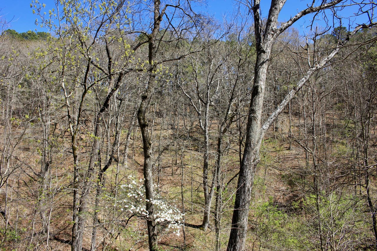 Listing Image 80