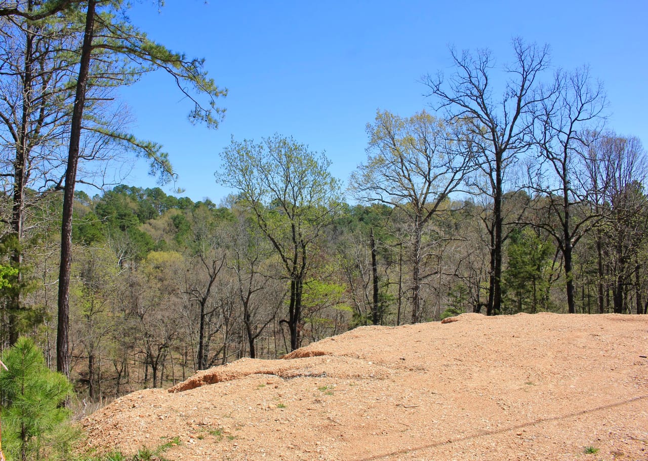 Listing Image 25