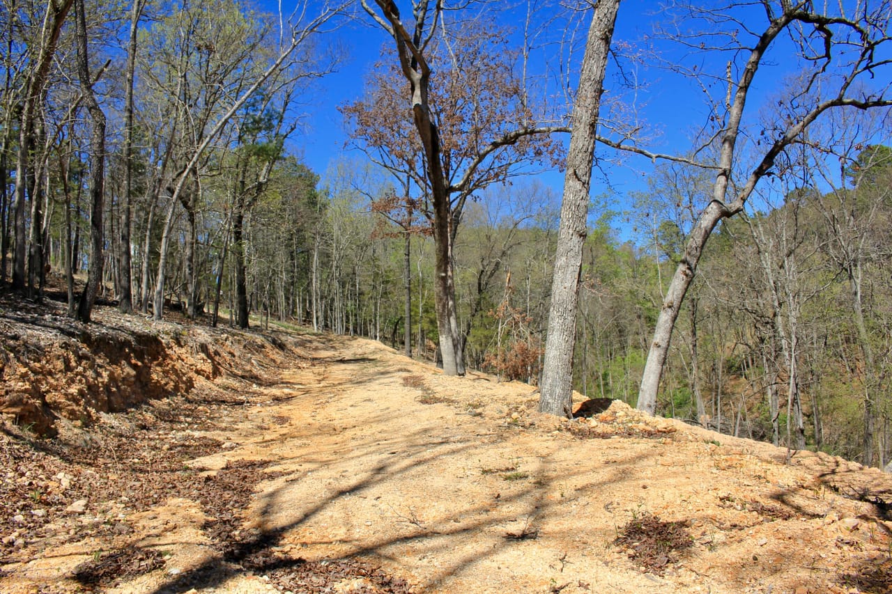 Listing Image 8