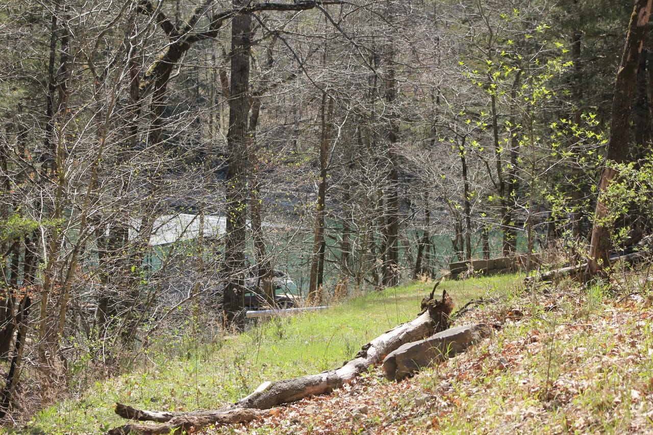 Listing Image 9